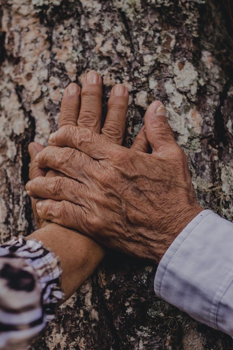 Safeguarding Histories